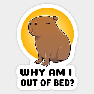 Why am I out of bed Capybara Sticker